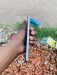 iPhone 6s Plus 128gb Look Like Fresh